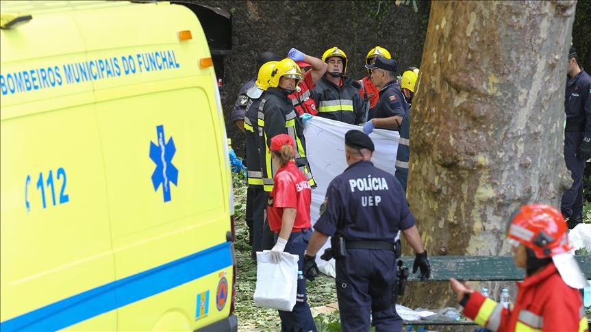 Portekiz'de ağaç düştü: 11 ölü