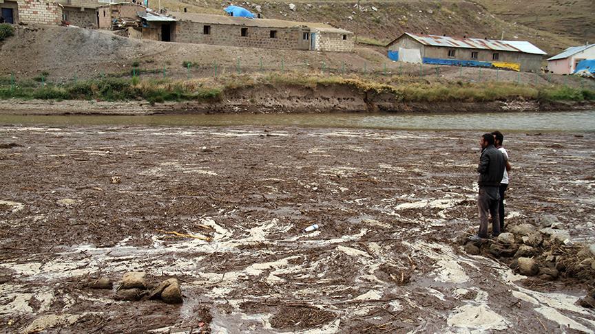 Ağrı'daki sel nedeniyle çok sayıda hayvan telef oldu 