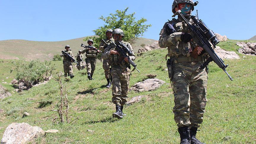 Military kills 5 PKK terrorists in eastern Turkey
