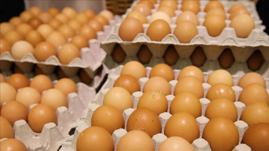 France publishes list of tainted egg products