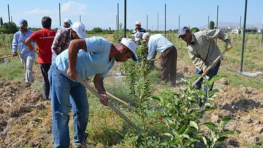 La ONU les enseñará agricultura a los refugiados sirios en Turquía