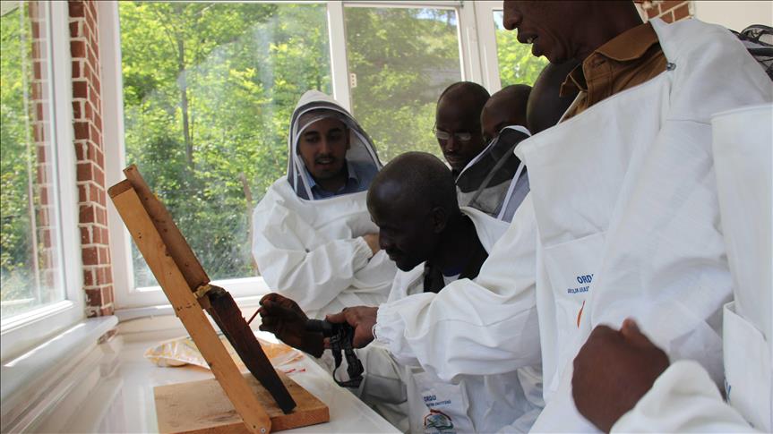 Turquie: Des apiculteurs du Niger formés par la TIKA