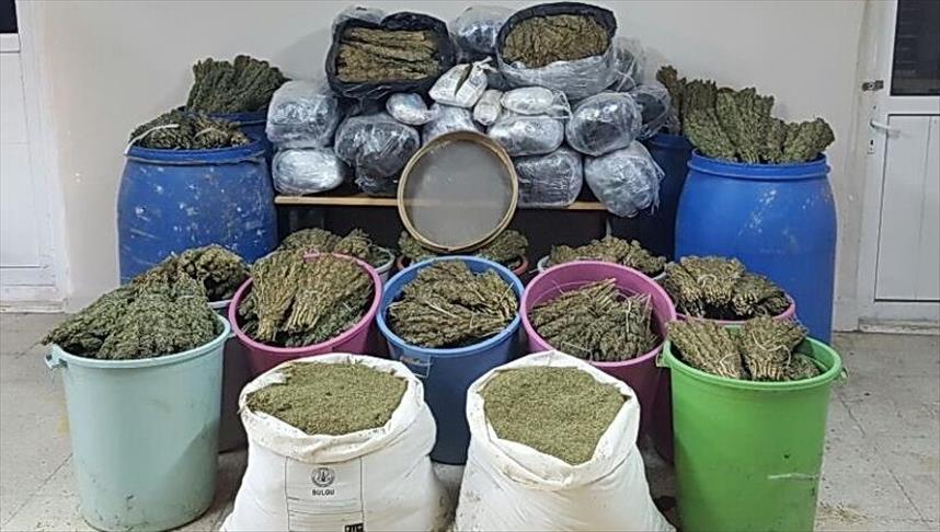 Turkey facing increasing drug addiction: experts