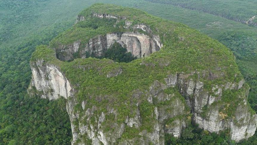 Colombia refuerza medidas para luchar contra la deforestación