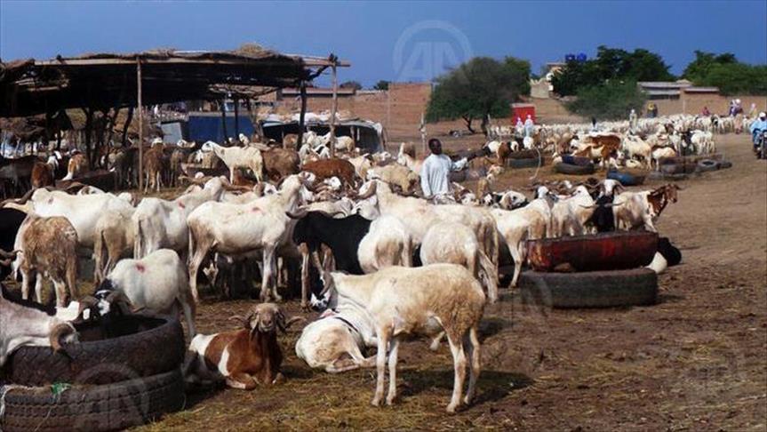 Au Niger, la date de la Tabaski fait polémique