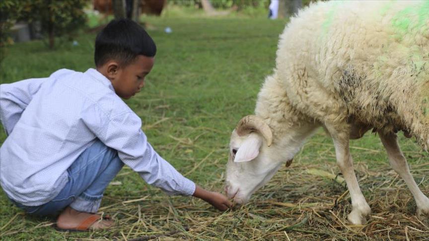 Menjalani Hari Raya Kurban Jauh Dari Tanah Indonesia
