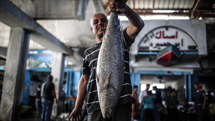 FAO: El 32% de la población de pescados en el mundo está sobreexplotado