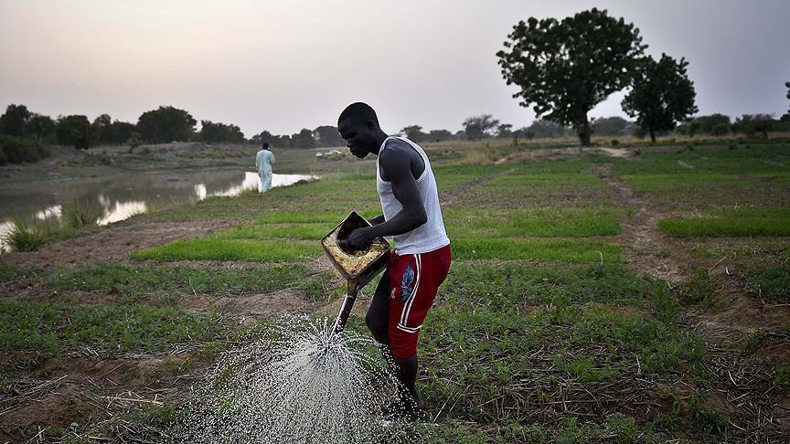 L’agriculture sera à l’origine de la "révolution tranquille" en Afrique (rapport)