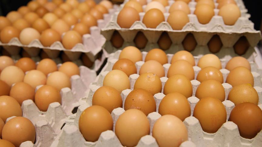 Turkey's food body says tainted eggs mired in politics