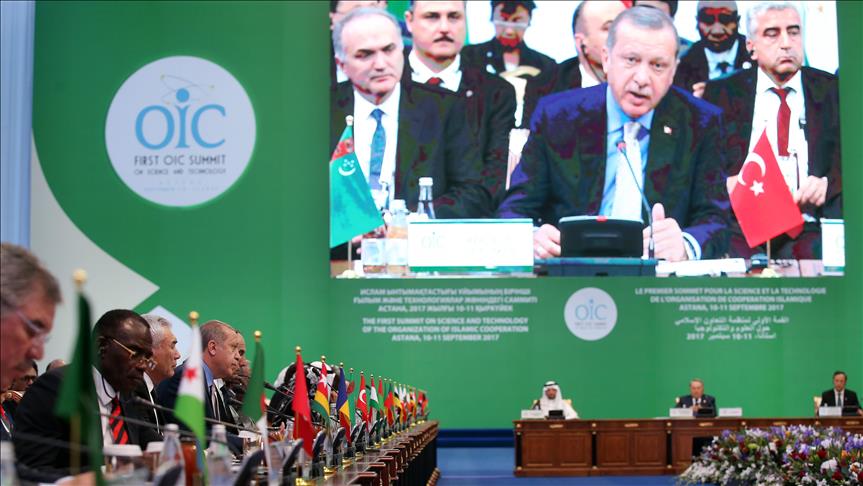 Erdogan urges Muslim countries to help Rohingya 