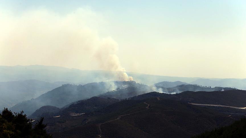 Türkmendağı'ndaki orman yangını devam ediyor