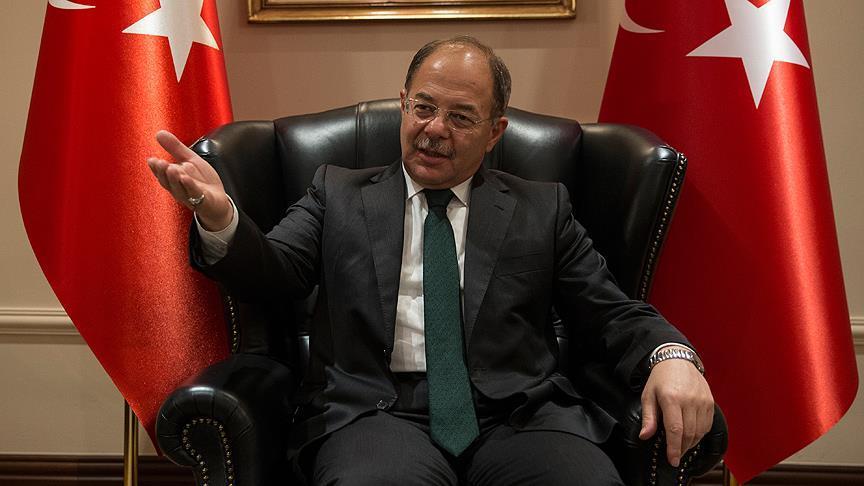 WHO to help Turkish Rohingya aid effort, says minister