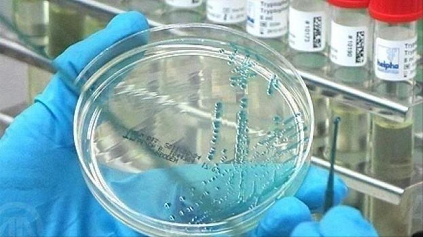 Costa Rica declara alerta sanitaria por malaria