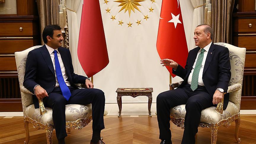 Turkish, Qatari leaders talk bilateral, regional issues