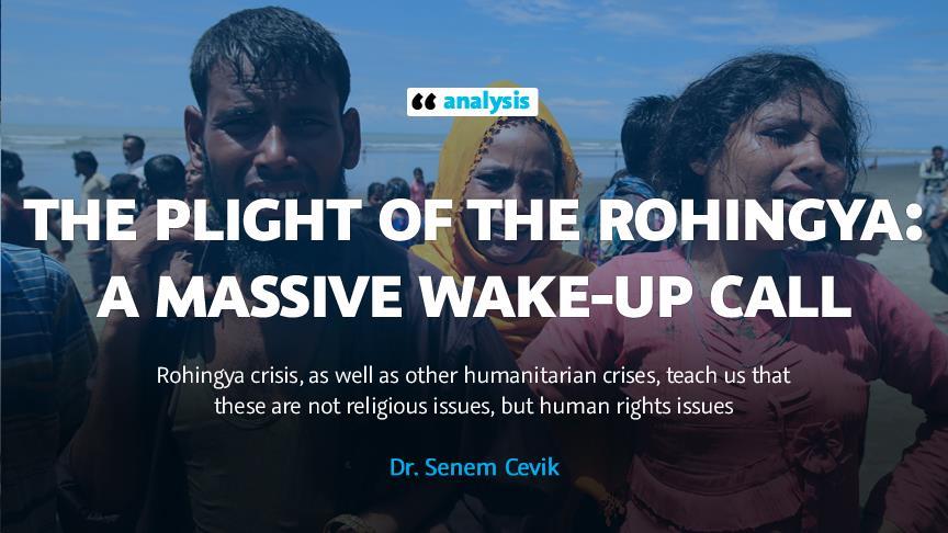 Image result for the plight of the rohingya