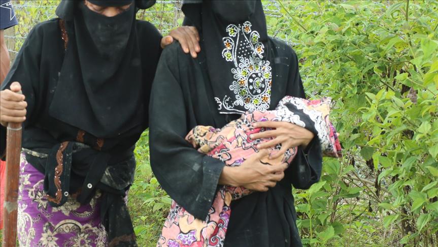 UN: 36,000 Rohingya babies arrive in Bangladesh