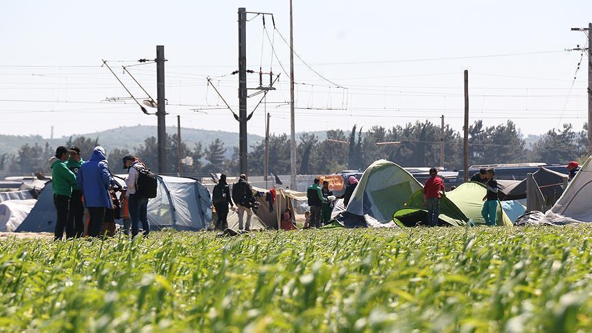 EU asylum-seeker plan sees poor results