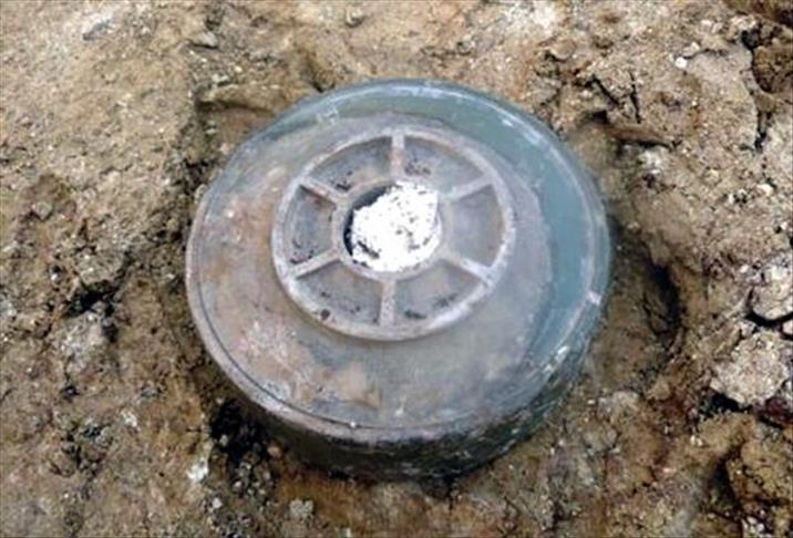 Landmine explosion kills 2 Cameroon soldiers
