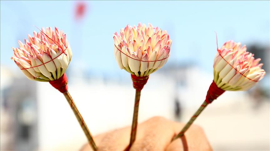 Le bouquet de jasmin, un encens qui parfume les soirées de Tunis