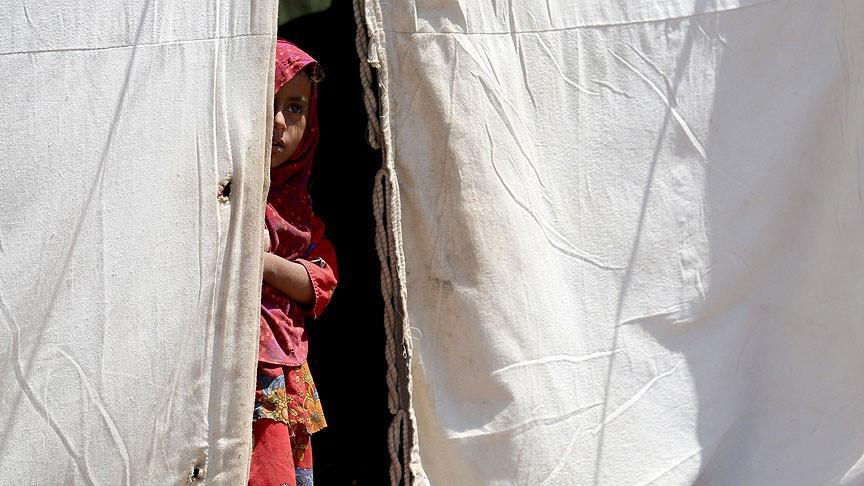 Yémen: Programme de lutte contre la famine de la FAO et de la BM