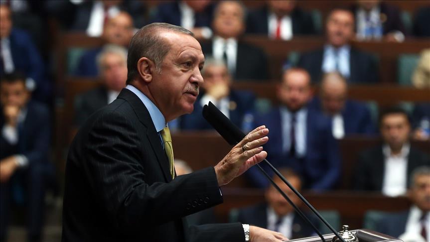 Syria, Iraq issues directly affect Turkey: Erdogan