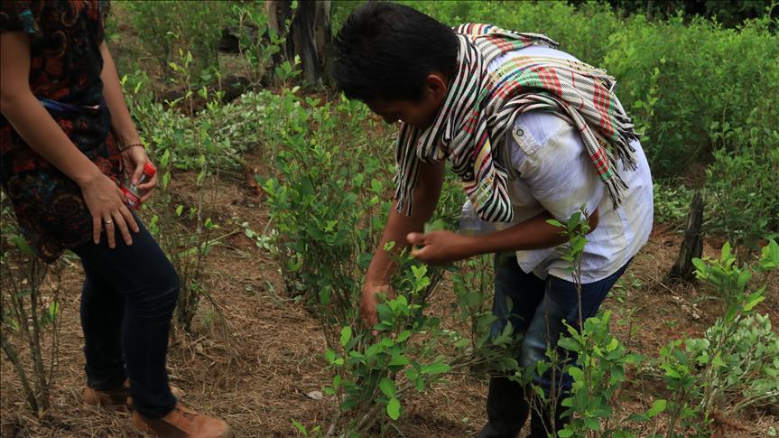 Colombia: nueve campesinos murieron en un enfrentamiento del Ejército