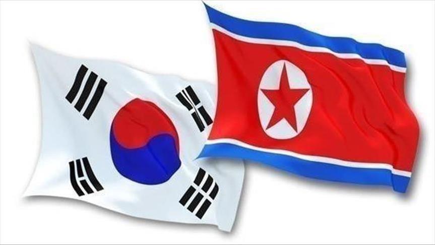 South Korea builds anti-North Korea ‘blackout bomb’ 