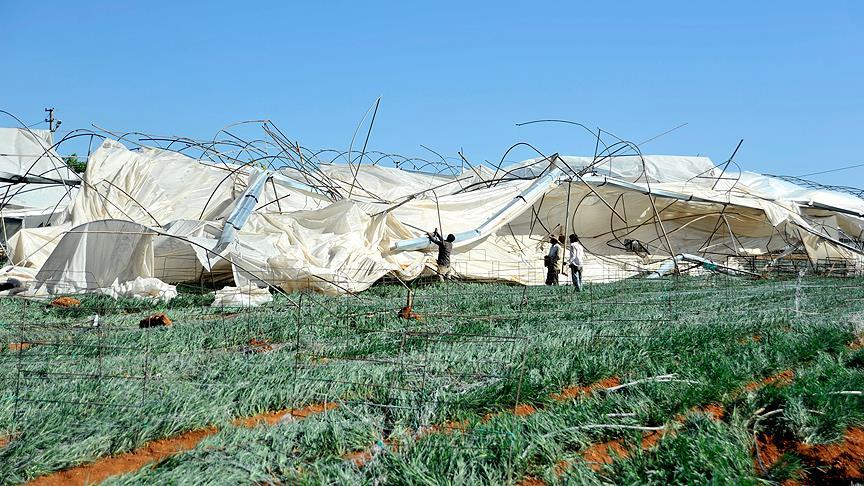 antalya da hortum 200 dekar sera