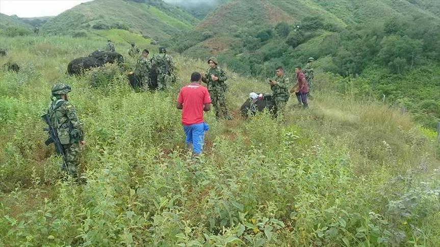 Procuraduría colombiana investigará a policías por muerte de campesinos