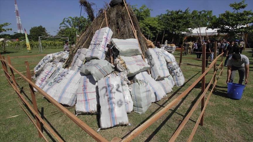 Budi Waseso: Petani ganja Aceh tanam ganja berdasarkan pesanan