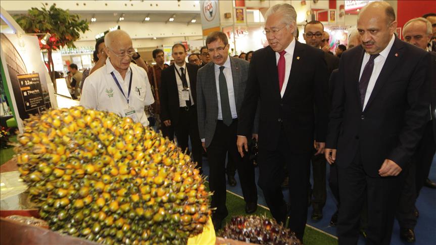 Indonesia ingin jadikan Turki penghubung ke Afrika dan Balkan