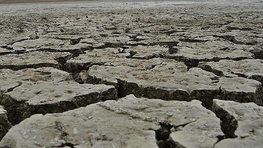 Katar'da 'Uluslararası Kuraklık İttifakı' kuruldu