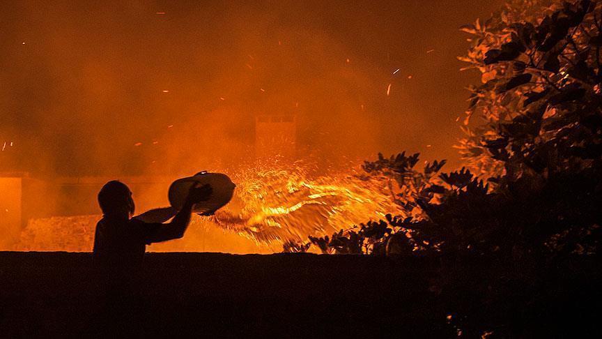 Portugal : 27 morts dans des feux de forêts (déclaration)