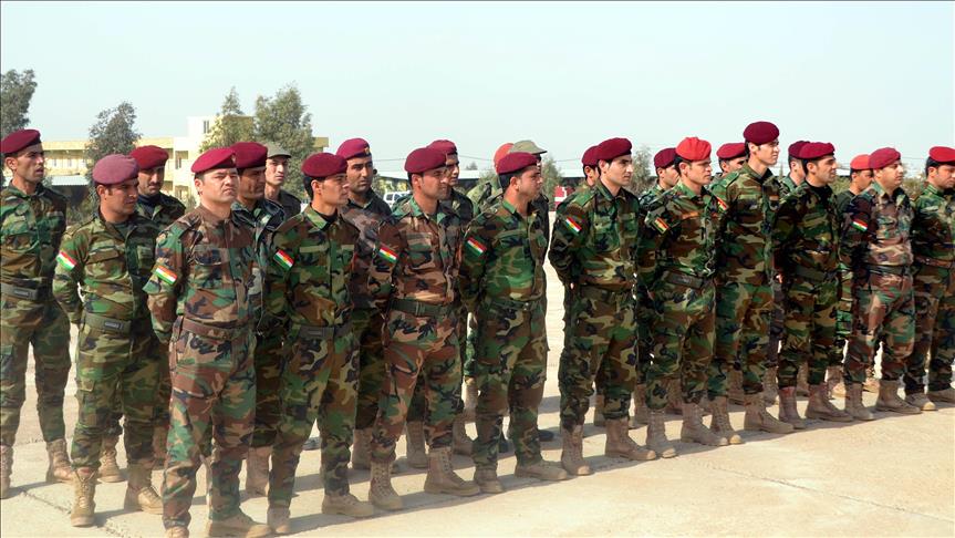 Germany suspends Peshmerga military training in N.Iraq