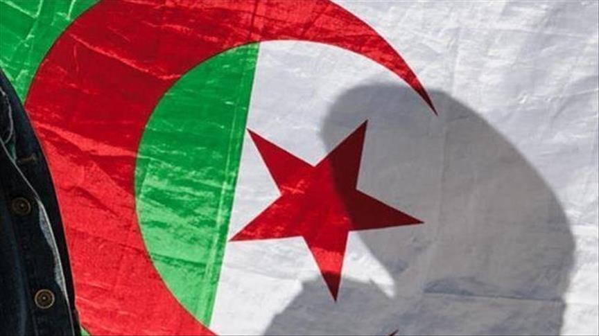 Algérie : Pas de projet de remaniement ministériel selon le Premier ministère 