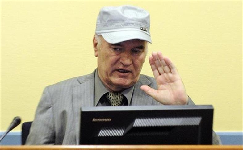 UN court sets verdict date for ex-Bosnian Serb leader