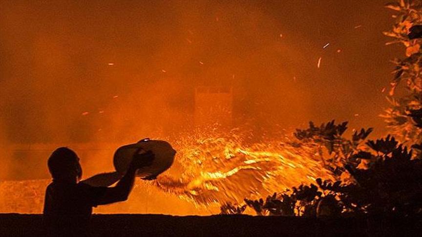 Португалија: Министерката за внатрешни работи поднесе оставка поради пожарите