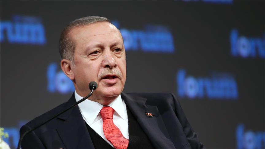 Erdogan questions US partnership amid visa row