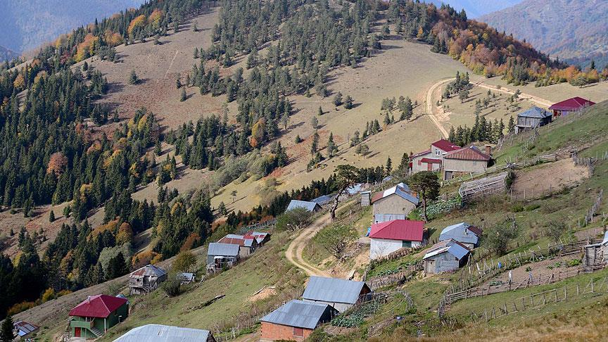 Giresun yaylaları sonbahar renkleriyle cezbediyor