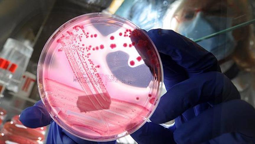 India collects DNA samples for 39 gone missing in Iraq