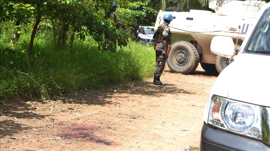 UN requests release of 28 opposition members in DRC