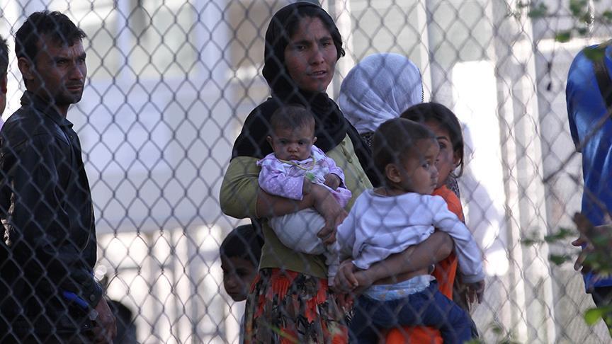 Human rights NGOs urge Greece to transfer refugees