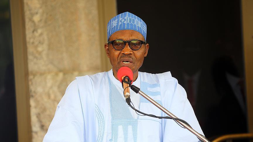 Nigeria puts the brakes on W. African single currency