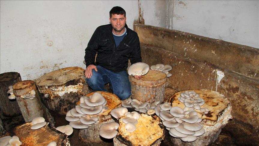 Kavak kütükleri ekmek teknesi oldu