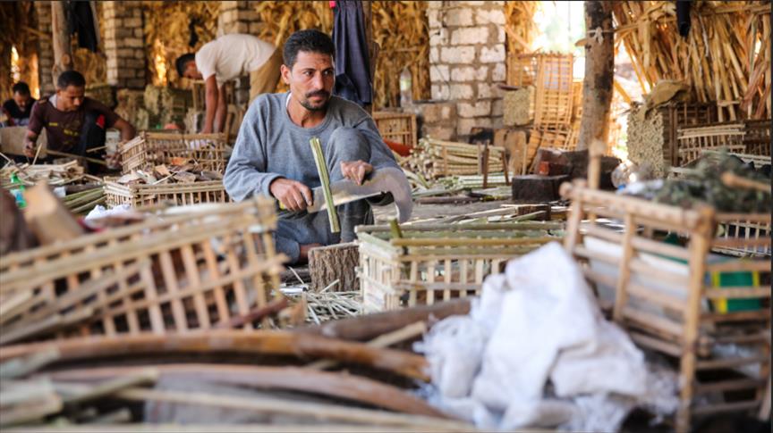 من جريد النخل بمصر.. أقفاص فيها منافع كثيرة ودخل قليل 