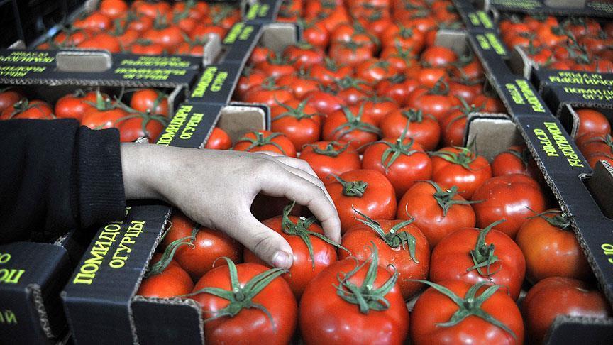 Russia lifts ban on import of Turkish tomatoes