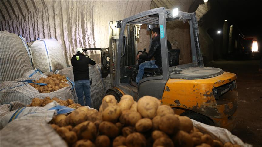 Türkiye'nin patatesi, Kapadokya'da depolanıyor