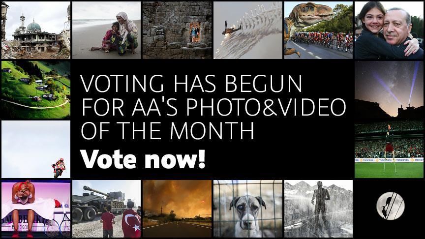 Voting begins for AA's photo and video of the month