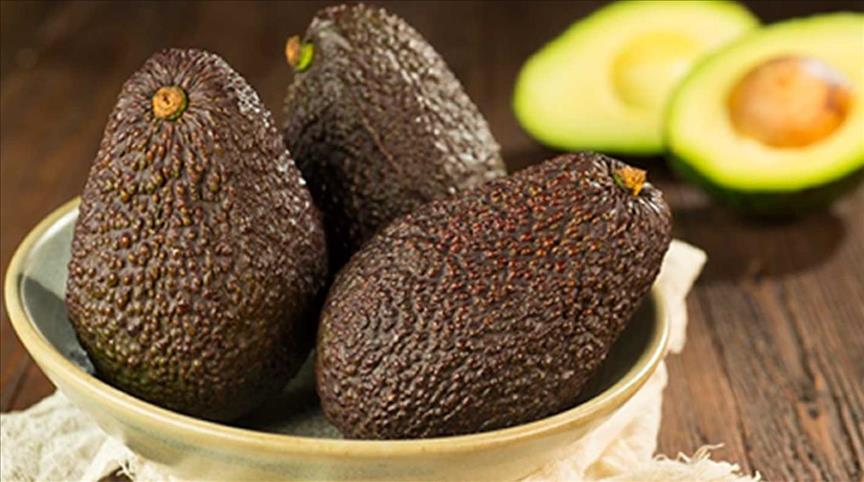 Colombia exporta por primera vez aguacate Hass a Estados Unidos