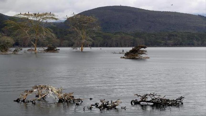 Cameroun : Exploiter le bois de la mangrove pour éviter le chômage et l’oisiveté